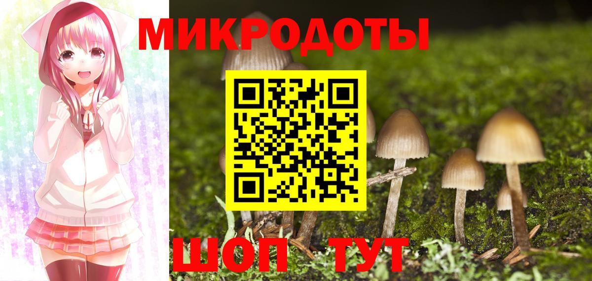 Славгород  где купить наркоту  Вход с VPN  Галлюциногенные грибы Psilocybine cubensis 