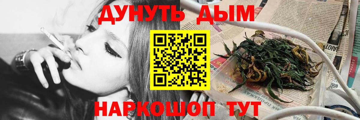 Славгород  Конопля план  Марихуана сатива  Вход с VPN 