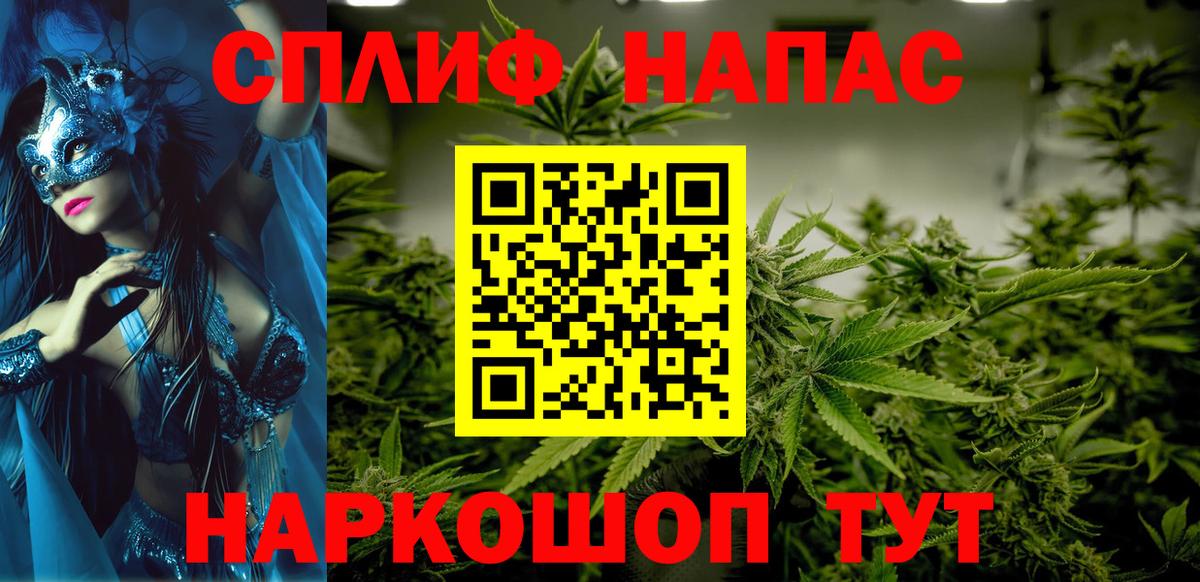 Каннабис индика Славгород